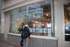 Storefront Library 2009