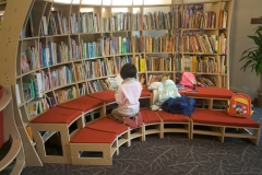 Storefront Library 2009