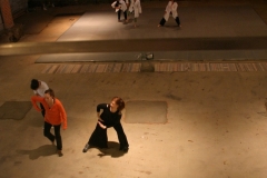 WIPdance046